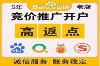 百度广告投放策略：成功案例解析